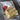 Mindy Brownes Interiors - Birds of Paradise Platters- SHM013