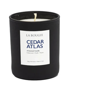 Cedar Atlas Candle
