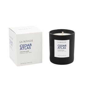 Cedar Atlas Candle