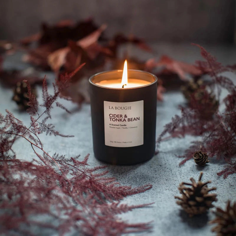 Cider & Tonka Bean Candle