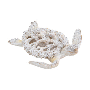 Sea Turtle