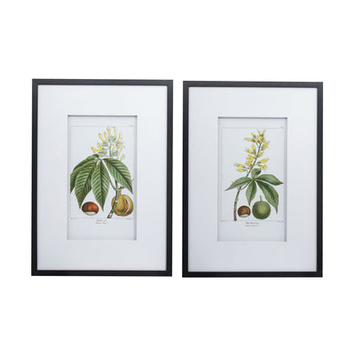 Botanical Wall Art Set Of 2