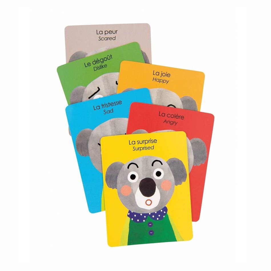 Expressions Magnetic Game