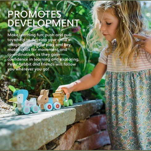 Peter Rabbit - First Push Toy