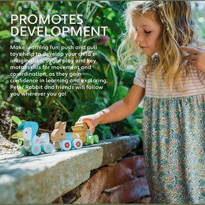 Peter Rabbit - First Push Toy