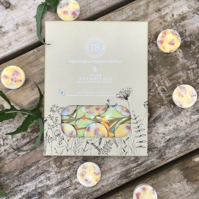 Wild Rose Stinging Nettle Wax Melts